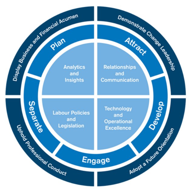Desired HR Attributes and Skills in Demand
